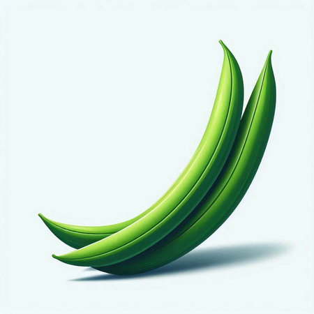 Banana on a white background with space for text. Vector illustration.のイラスト素材