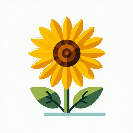Sunflower on a white background. Vector illustration, flat design.のイラスト素材