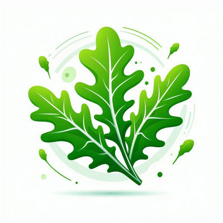 Fresh green arugula leaf on white background. Vector illustration.のイラスト素材
