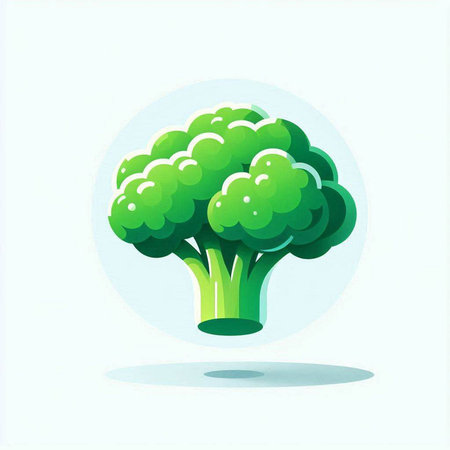 Broccoli icon. Vector illustration isolated on white background. Flat design.のイラスト素材