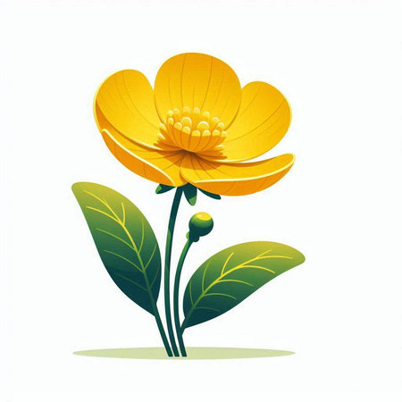 Beautiful yellow flower isolated on a white background. Vector illustration.のイラスト素材