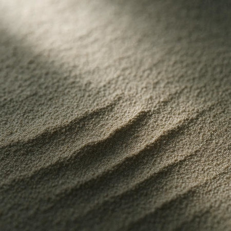Close-up of a sand dune in the morning light.