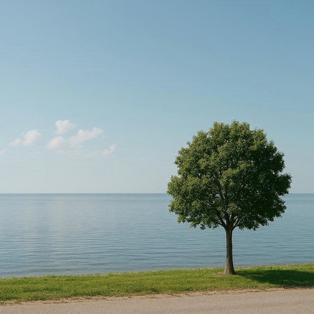 Lonely tree on the shore of Lake Balaton, Hungary