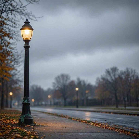A street lamp on a rainy day in the autumn city park.