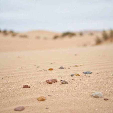 Stones on the sand of the dunes in the desert.