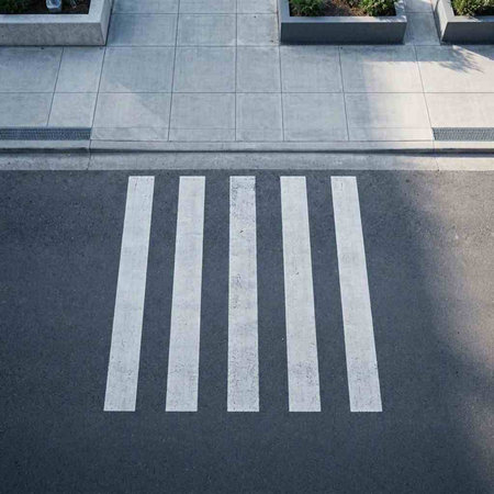 Crosswalk on the street. The concept of pedestrian crossing on the street.