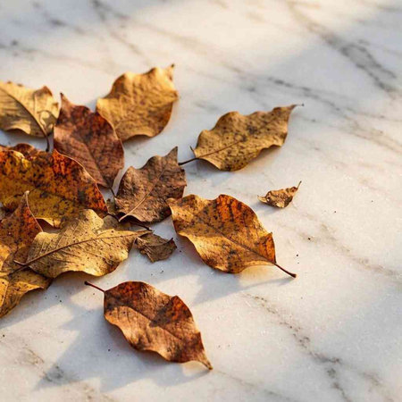 Fallen autumn leaves on the white marble floor. Seasonal background.