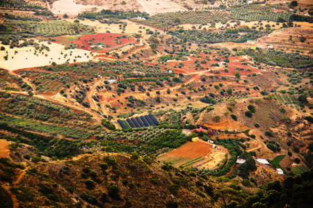 Colorful fields of Cyprusの写真素材
