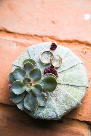 Wedding rings on a flower compositionの写真素材