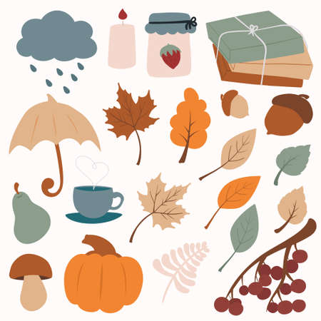 Vector autumn icon set: cloud, candle, jam, books, umbrella, maple leaves, oak leaf, acorns, birch leaves, pear, cup of tea, mushroom, pumpkin, rowan branchのイラスト素材