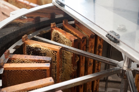 Centrifugal machine for extracting honey from honeycombsの写真素材
