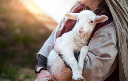 The shepherd holds the lamb in your armsの写真素材