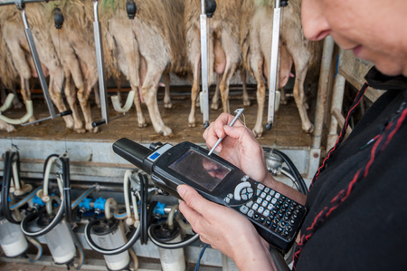 Veterinarian during a milk quality test with digital instrumentation, at the milking machineの写真素材