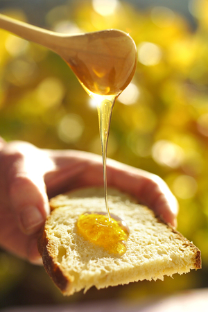 Pouring fresh honey over a slice of white breadの写真素材