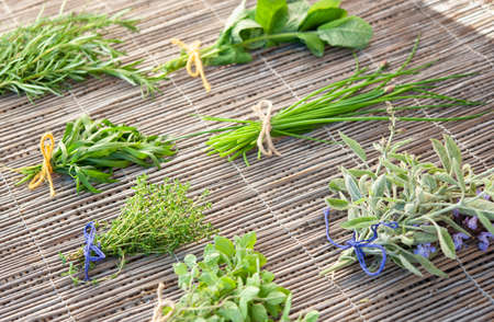 Bunches of various aromatic herbs, freshly picked.の写真素材