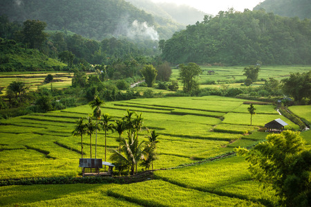 mountain of Thailandの写真素材