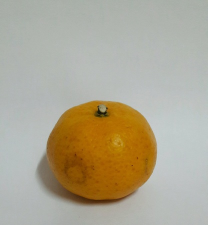 Orangeの素材