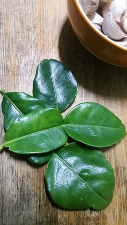 Kaffir lime leavesの素材