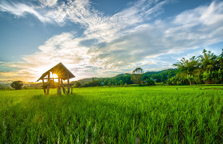 landscape In the morning lightの写真素材
