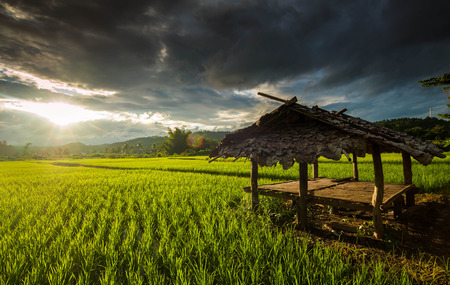 landscape In the morning lightの写真素材