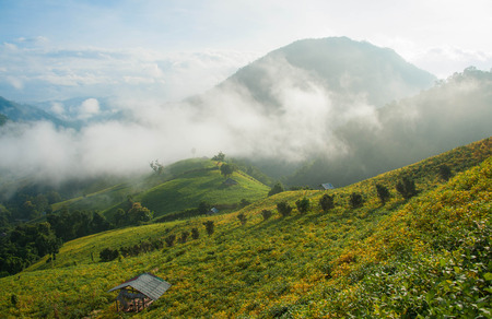 moutainの写真素材