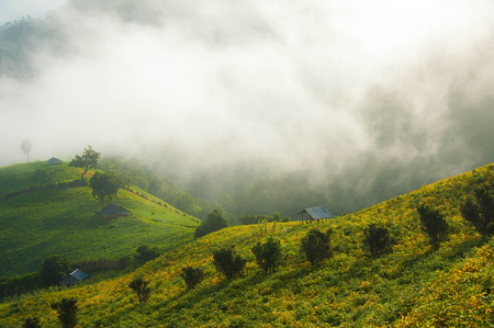 moutainの写真素材