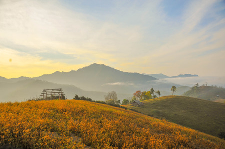 mountain in thailandの写真素材