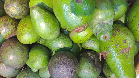 Avocado fruit in the market. Close up of avocado fruit.の写真素材