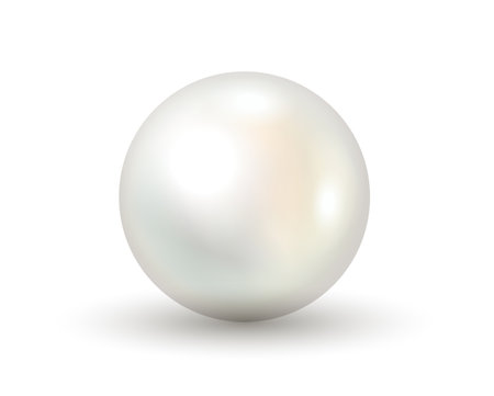 White pearl realistic 3d on white background. Shiny natural white sea pearl with light effectsのイラスト素材
