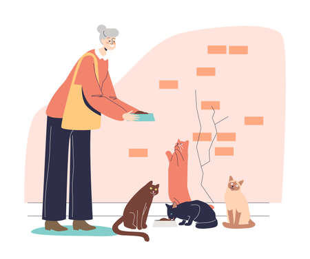 Older granny holding plate with food for cats. Cute senior lady with gray hair feeding petsのイラスト素材