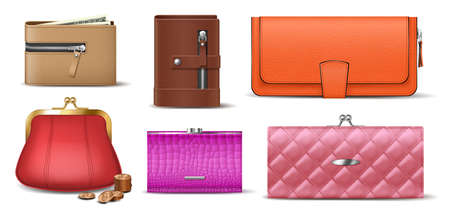 Set of leather wallets accessories for money banknotes, coins, bills and credit cardsのイラスト素材