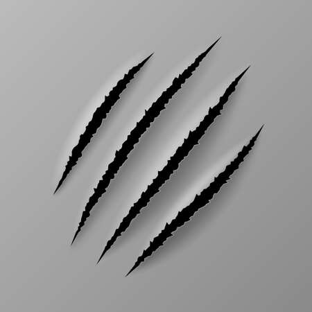 Realistic claw scratches. Wild animal paw trace texture on flat surface isolated on gray backgroundのイラスト素材