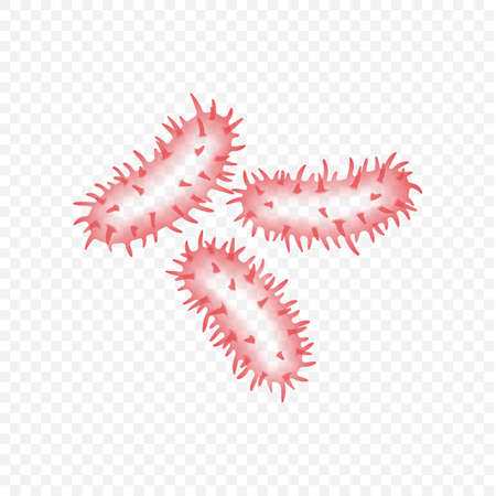 Virus realistic icon. Microorganism, germ and bacteria. Biological disease microscopic cellsのイラスト素材