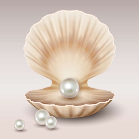 Realistic open shell with shining pearls inside. 3d freshwater or seashell oyster molluskのイラスト素材