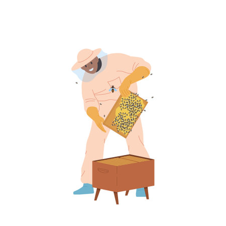Male beekeeper character in protective hat, overalls and gloves holding frame with honeycombsのイラスト素材