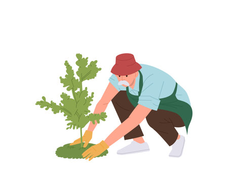 Old senior man gardener cartoon character wearing rubber gloves planting tree sapling in soil holeのイラスト素材