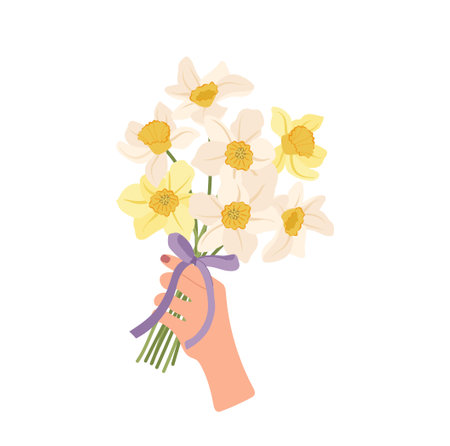 Daffodils yellow spring flowers elegant bouquet in female hand isolated on white backgroundのイラスト素材