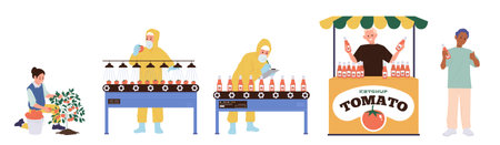 Tomato production line set with people workers harvesting, working at conveyor, selling ketchupのイラスト素材