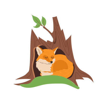 Cute little fox cartoon character sleeping in tree trunk hollow isolated on white backgroundのイラスト素材