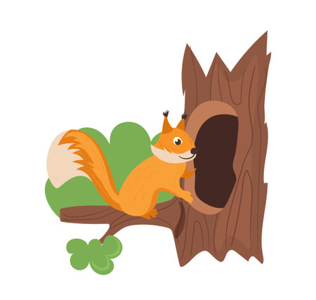 Cute red squirrel cartoon forest animal character coming hollow home on tree isolated on whiteのイラスト素材