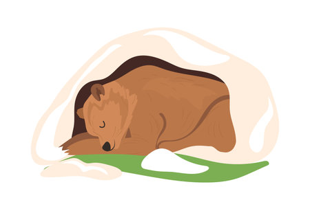 Cute sleeping bear isolated cartoon forest animal character enjoying hibernation in burrow homeのイラスト素材