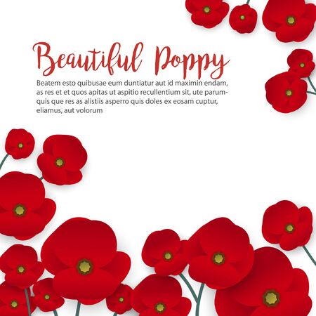 A poppy flower vectorのイラスト素材