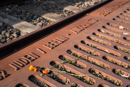 BERLIN - APR 19, 2015: Close-up of two flowers on Gleis 17 in Berlin-Grunewald station. Between Oct. 1941 and Feb. 1945 more than 50,000 Jews were deported by Nazis to extermination camps from here.のeditorial素材