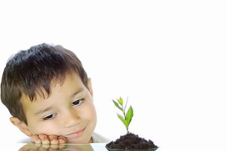 Kid and plant growing upの写真素材