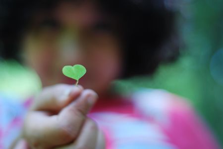 Heart planted green plant in the handの写真素材