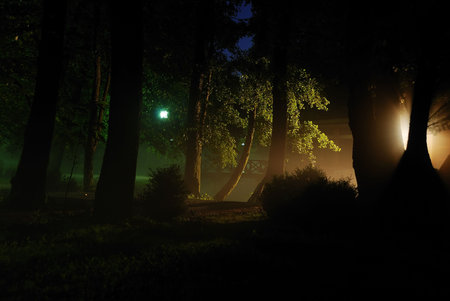 Beautiful natural scene in early downの写真素材