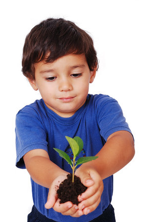 Little cute child holding green plant in handsの写真素材