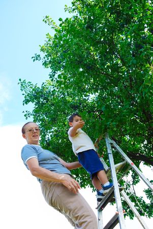 Grandmother and her grandson taking off the plum in vintageの写真素材