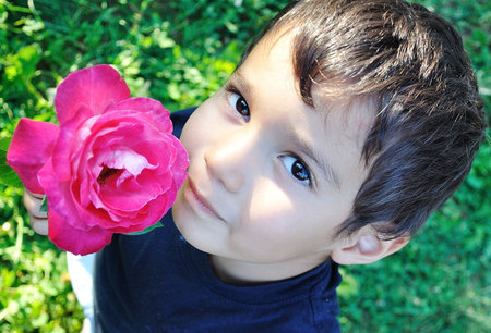 Very cute child with a pink rose in his handの写真素材