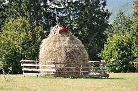 Hay on green meadowの写真素材